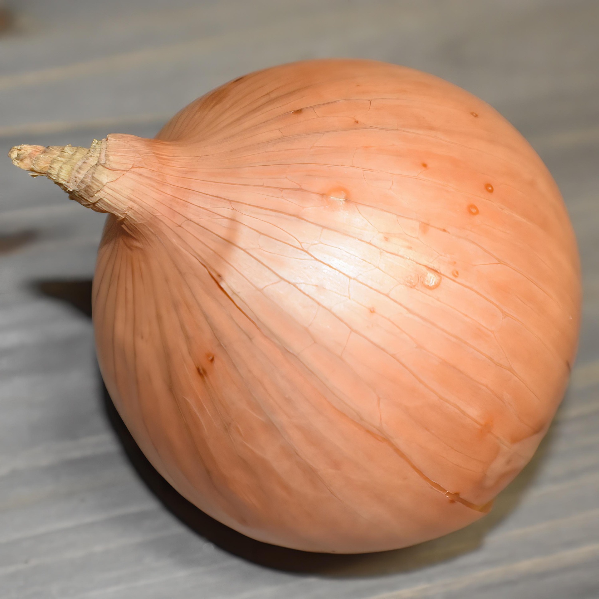 Golden Onion photo 1