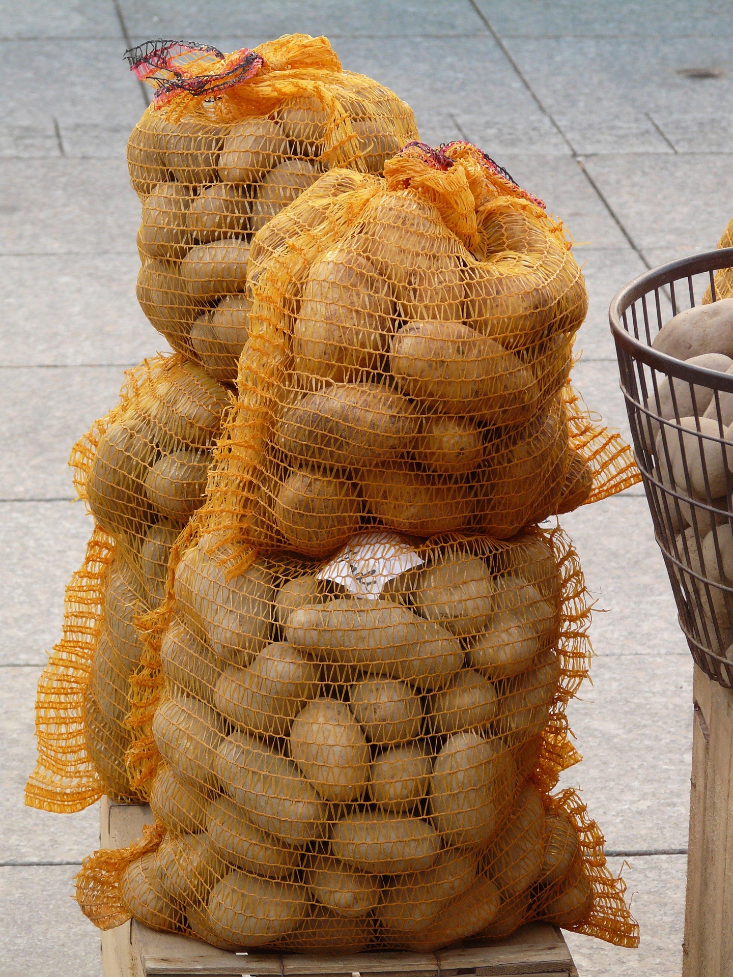 Potato photo 3