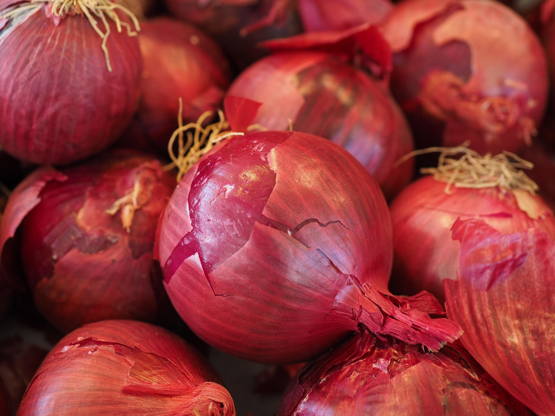 Red Onion photo 1