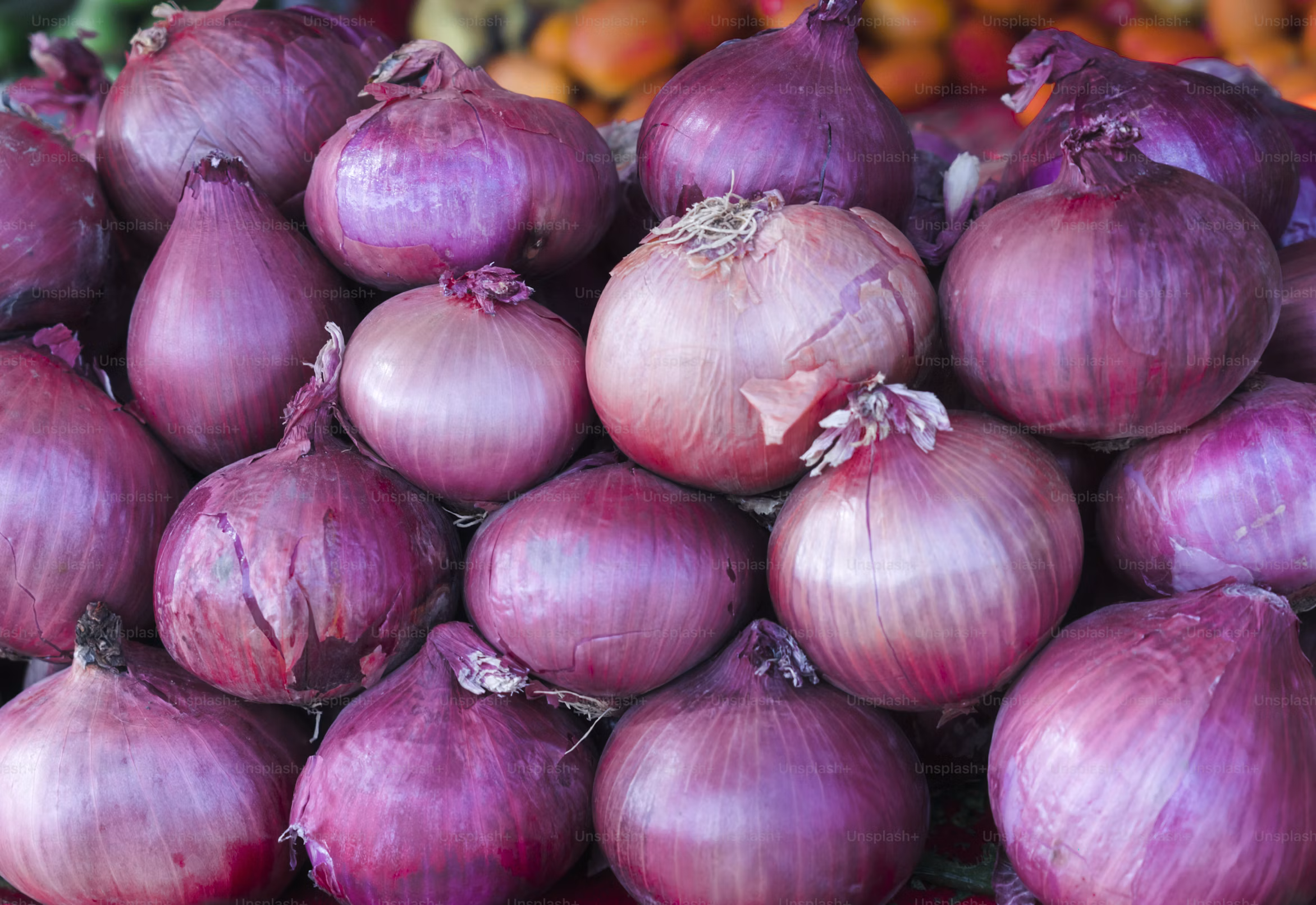 Red Onion photo 3