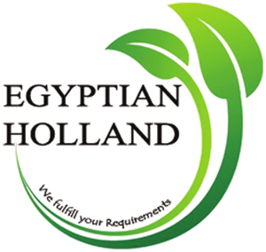 Egyptian Holland Company